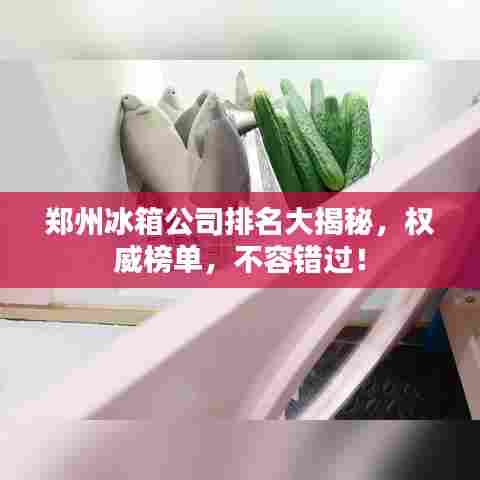 郑州冰箱公司排名大揭秘,权威榜单,不容错过!