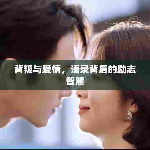 背叛与爱情,语录背后的励志智慧