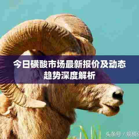 今日磺酸市场最新报价及动态趋势深度解析