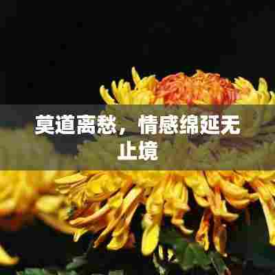 莫道离愁，情感绵延无止境