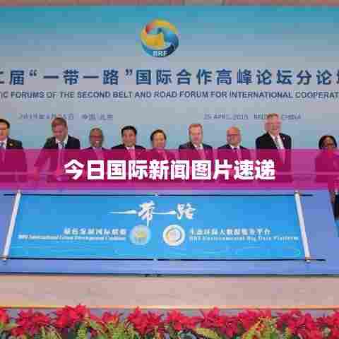 今日国际新闻图片速递