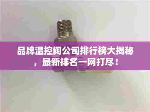 品牌温控阀公司排行榜大揭秘,最新排名一网打尽!