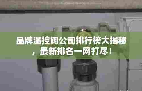 品牌温控阀公司排行榜大揭秘,最新排名一网打尽!
