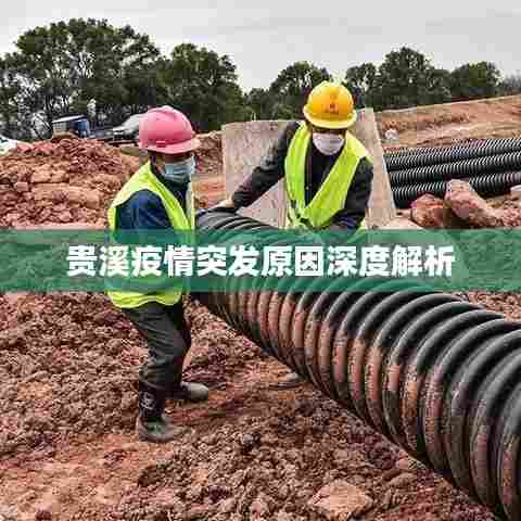 贵溪疫情突发原因深度解析