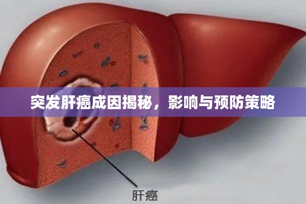 突发肝癌成因揭秘，影响与预防策略