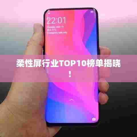 柔性屏行业TOP10榜单揭晓!