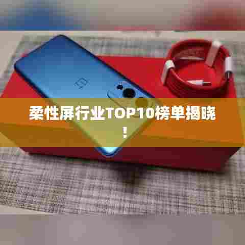 柔性屏行业TOP10榜单揭晓!