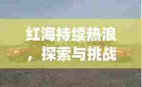 红海持续热浪，探索与挑战之旅永不止步