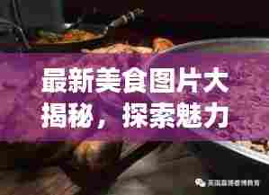 最新美食图片大揭秘,探索魅力无穷的欢乐美食之旅