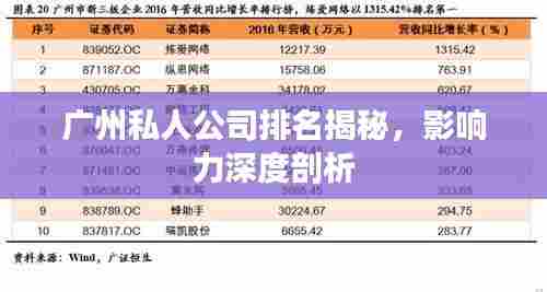广州私人公司排名揭秘，影响力深度剖析