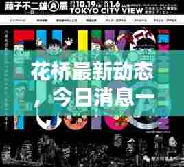 花桥最新动态，今日消息一网打尽
