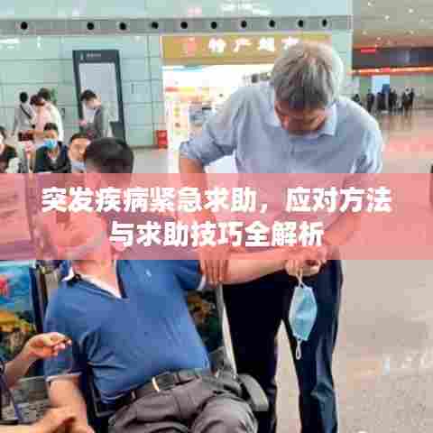 突发疾病紧急求助,应对方法与求助技巧全解析