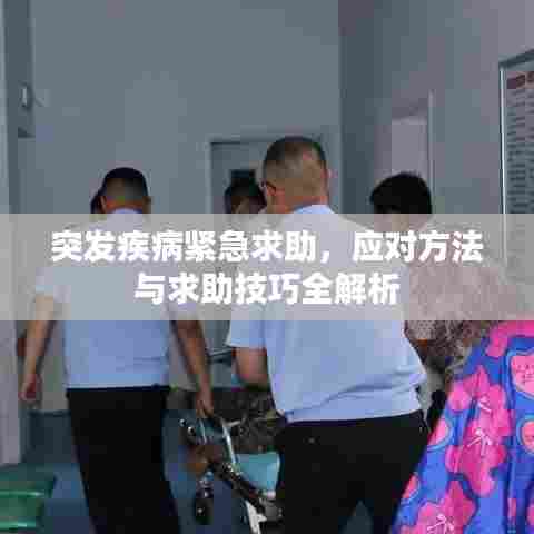 突发疾病紧急求助,应对方法与求助技巧全解析