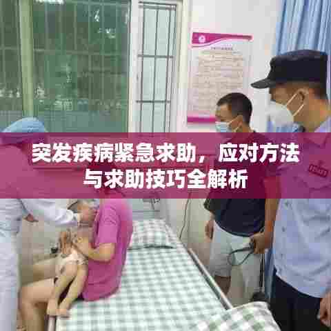 突发疾病紧急求助,应对方法与求助技巧全解析