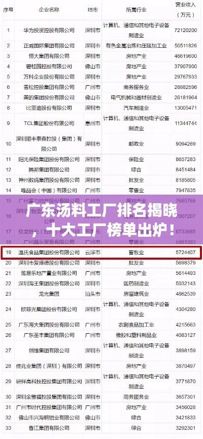 广东汤料工厂排名揭晓，十大工厂榜单出炉！