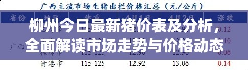 柳州今日最新猪价表及分析,全面解读市场走势与价格动态