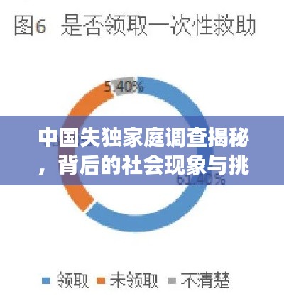 中国失独家庭调查揭秘,背后的社会现象与挑战全解析