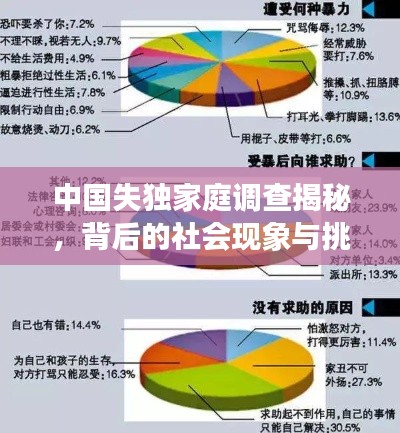 中国失独家庭调查揭秘,背后的社会现象与挑战全解析