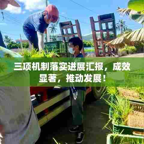 三项机制落实进展汇报，成效显著，推动发展！