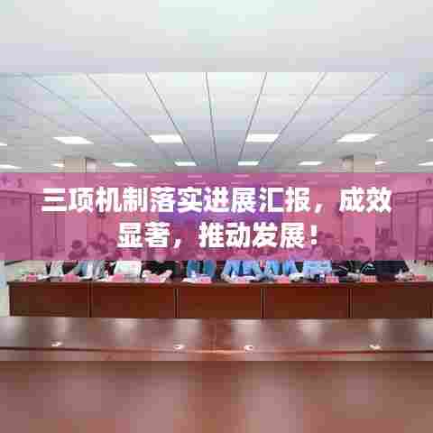 三项机制落实进展汇报,成效显著,推动发展!