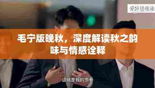 毛宁版晚秋，深度解读秋之韵味与情感诠释