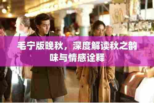 毛宁版晚秋,深度解读秋之韵味与情感诠释