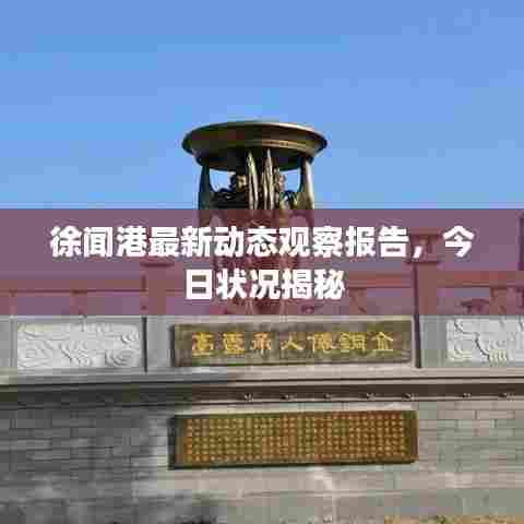 徐闻港最新动态观察报告,今日状况揭秘