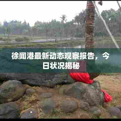 徐闻港最新动态观察报告,今日状况揭秘