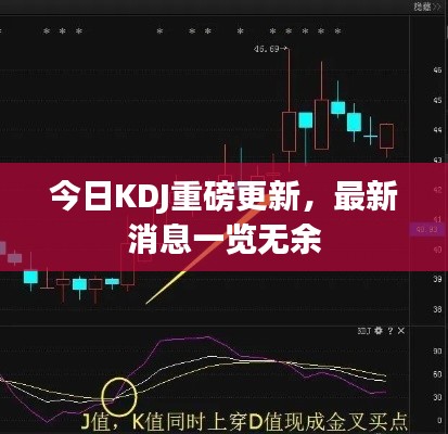今日KDJ重磅更新，最新消息一览无余