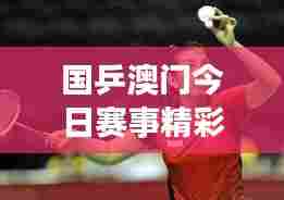 国乒澳门今日赛事精彩瞬间，实时赛况更新