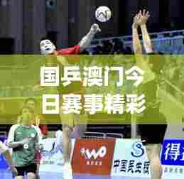 国乒澳门今日赛事精彩瞬间,实时赛况更新