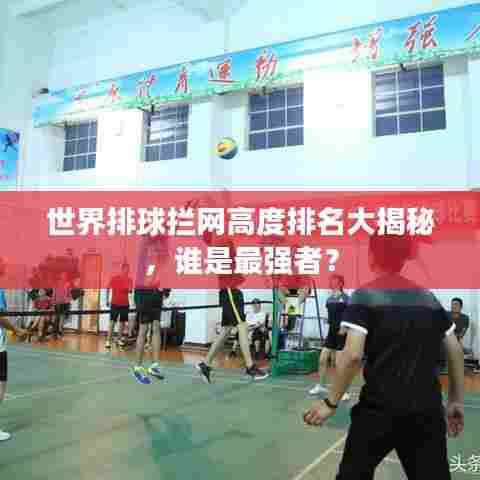 世界排球拦网高度排名大揭秘，谁是最强者？
