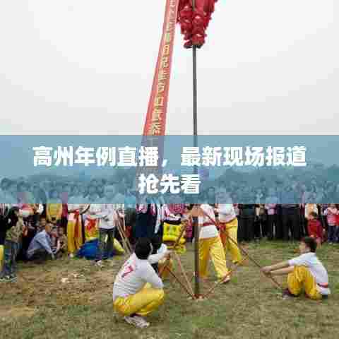 高州年例直播,最新现场报道抢先看