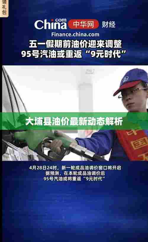 大埔县油价最新动态解析