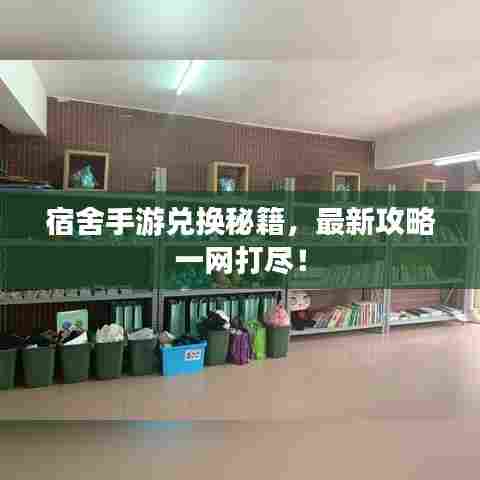 宿舍手游兑换秘籍，最新攻略一网打尽！