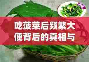 吃菠菜后频繁大便背后的真相与健康影响解析