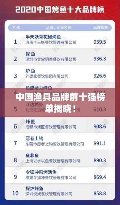 中国渔具品牌前十强榜单揭晓！