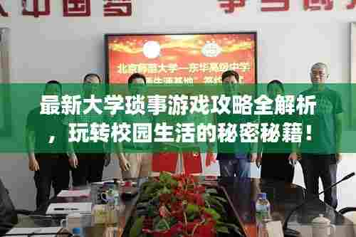 最新大学琐事游戏攻略全解析,玩转校园生活的秘密秘籍!