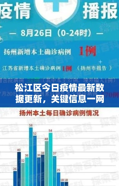 松江区今日疫情最新数据更新，关键信息一网打尽