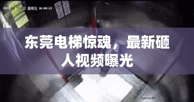 东莞电梯惊魂,最新砸人视频曝光