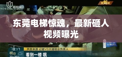 东莞电梯惊魂,最新砸人视频曝光