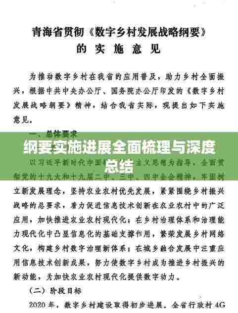 纲要实施进展全面梳理与深度总结