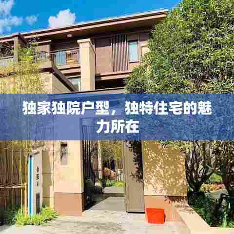 独家独院户型，独特住宅的魅力所在