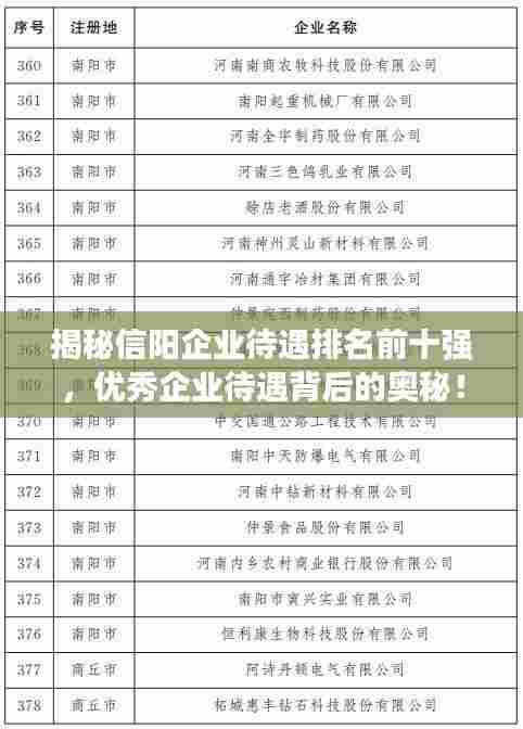 揭秘信阳企业待遇排名前十强,优秀企业待遇背后的奥秘!