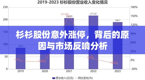 杉杉股份意外涨停,背后的原因与市场反响分析