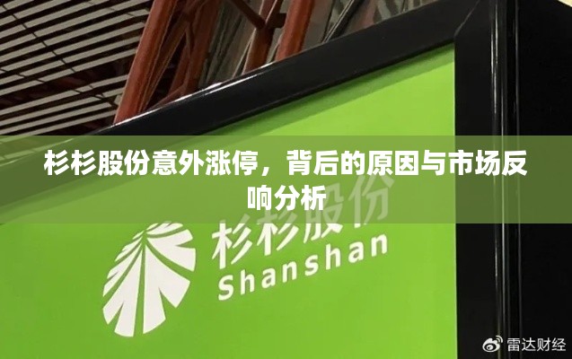 杉杉股份意外涨停,背后的原因与市场反响分析