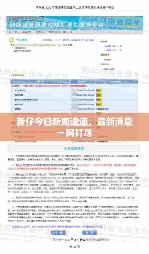 新仔今日新闻速递,最新消息一网打尽
