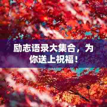 励志语录大集合,为你送上祝福!