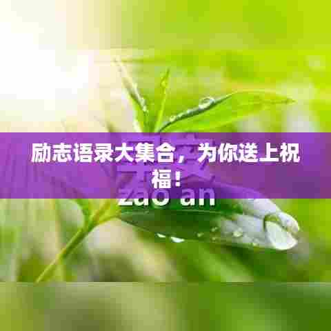 励志语录大集合,为你送上祝福!