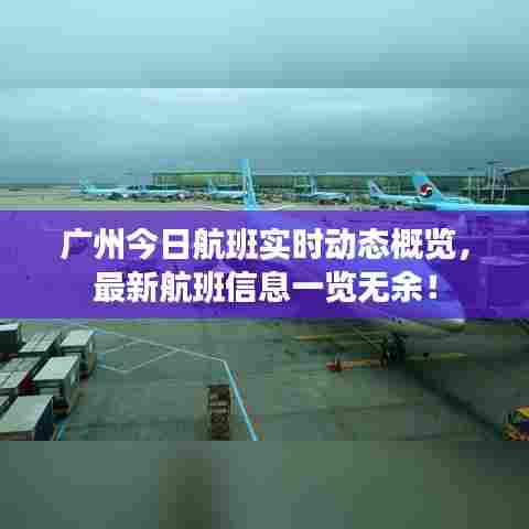 广州今日航班实时动态概览，最新航班信息一览无余！